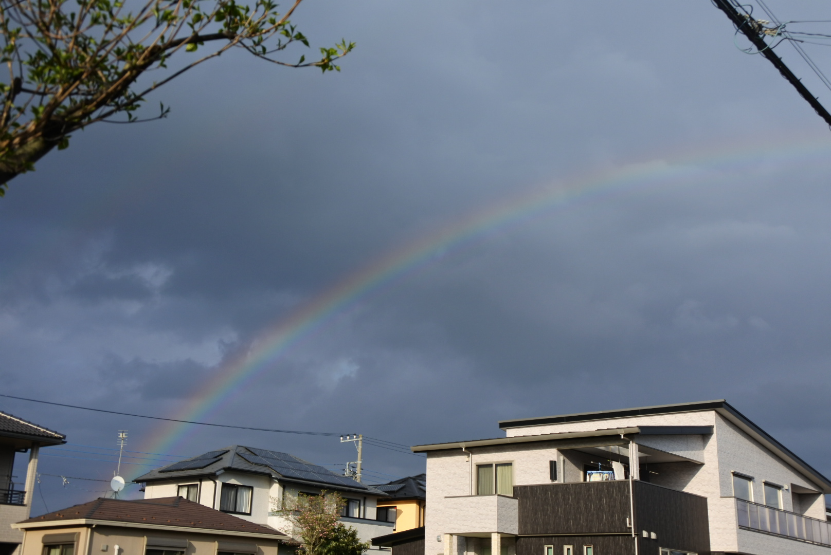 自然の恐ろしさと美しさ