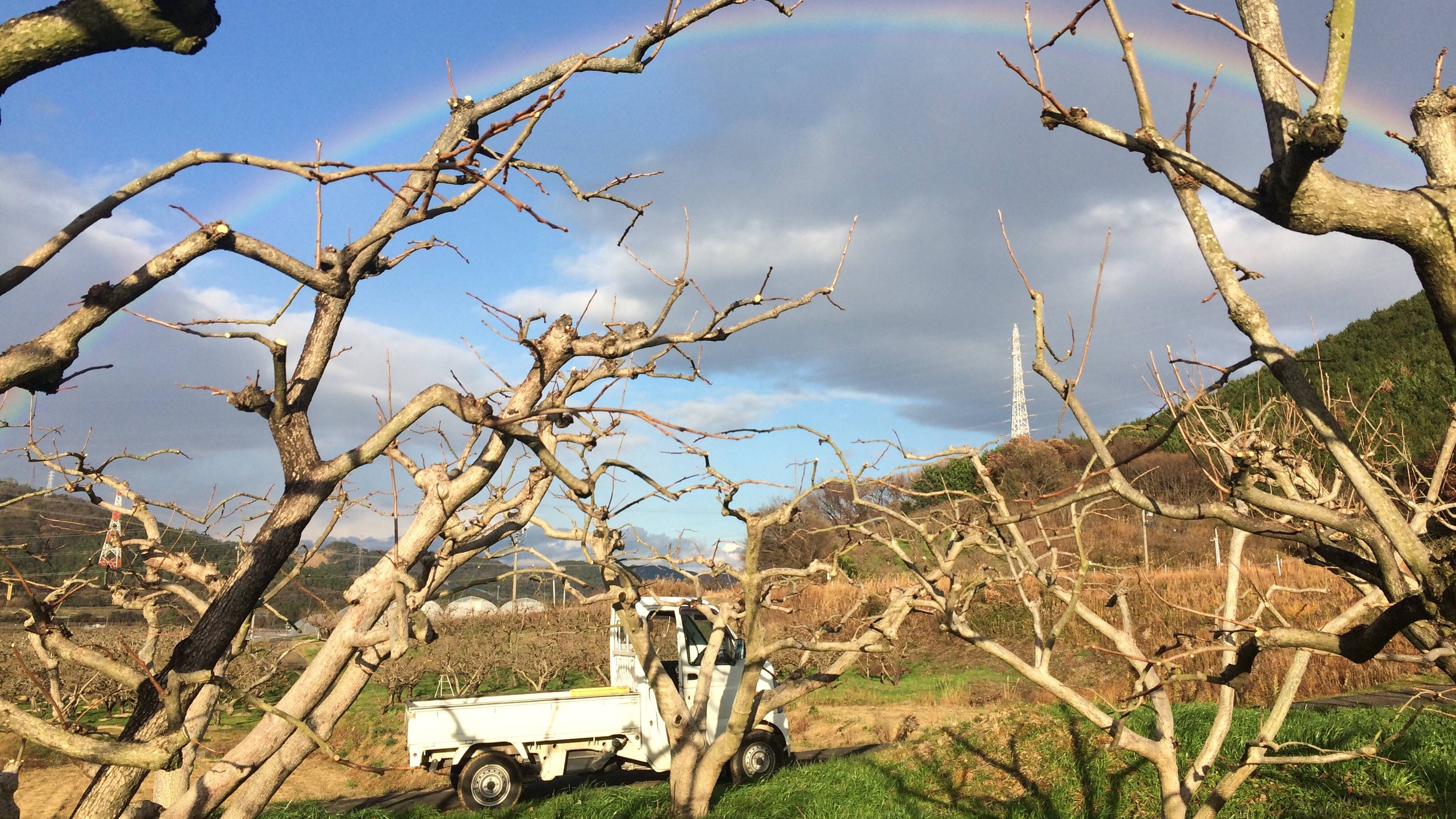 専業農家と兼業農家。