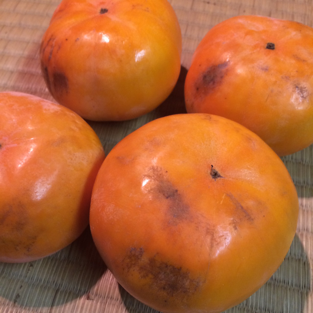 収獲作業も中盤戦！