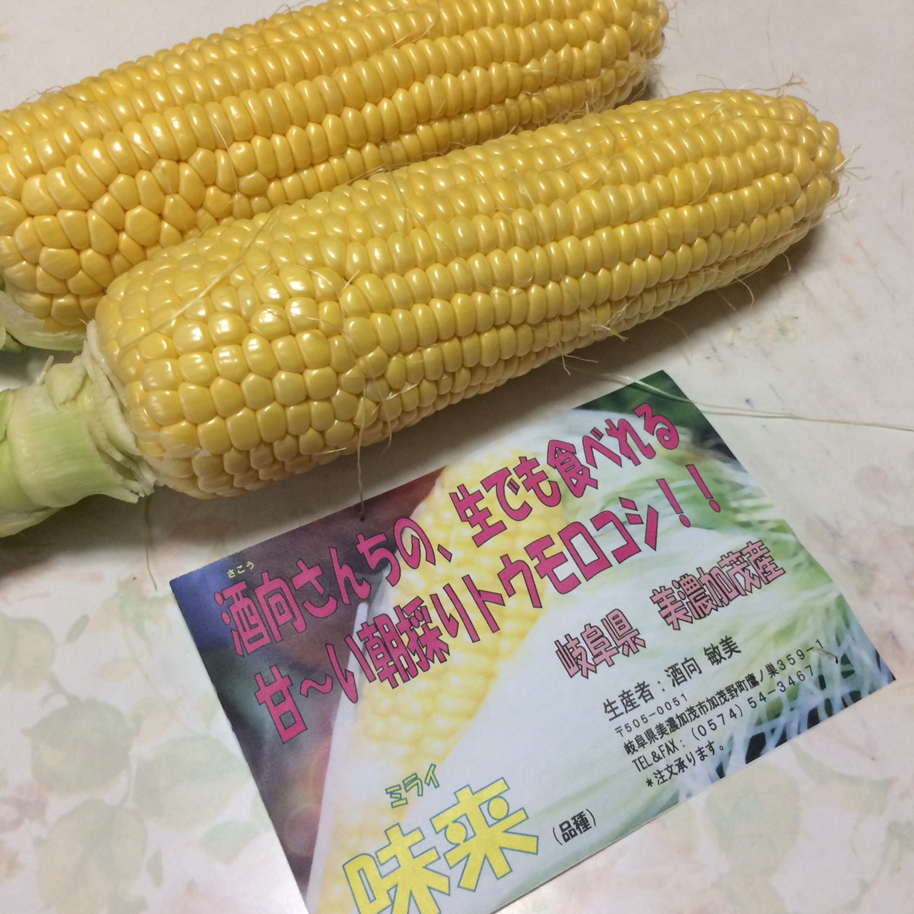 頂き物！
