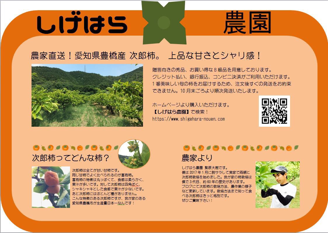 次郎柿 予約受付開始!