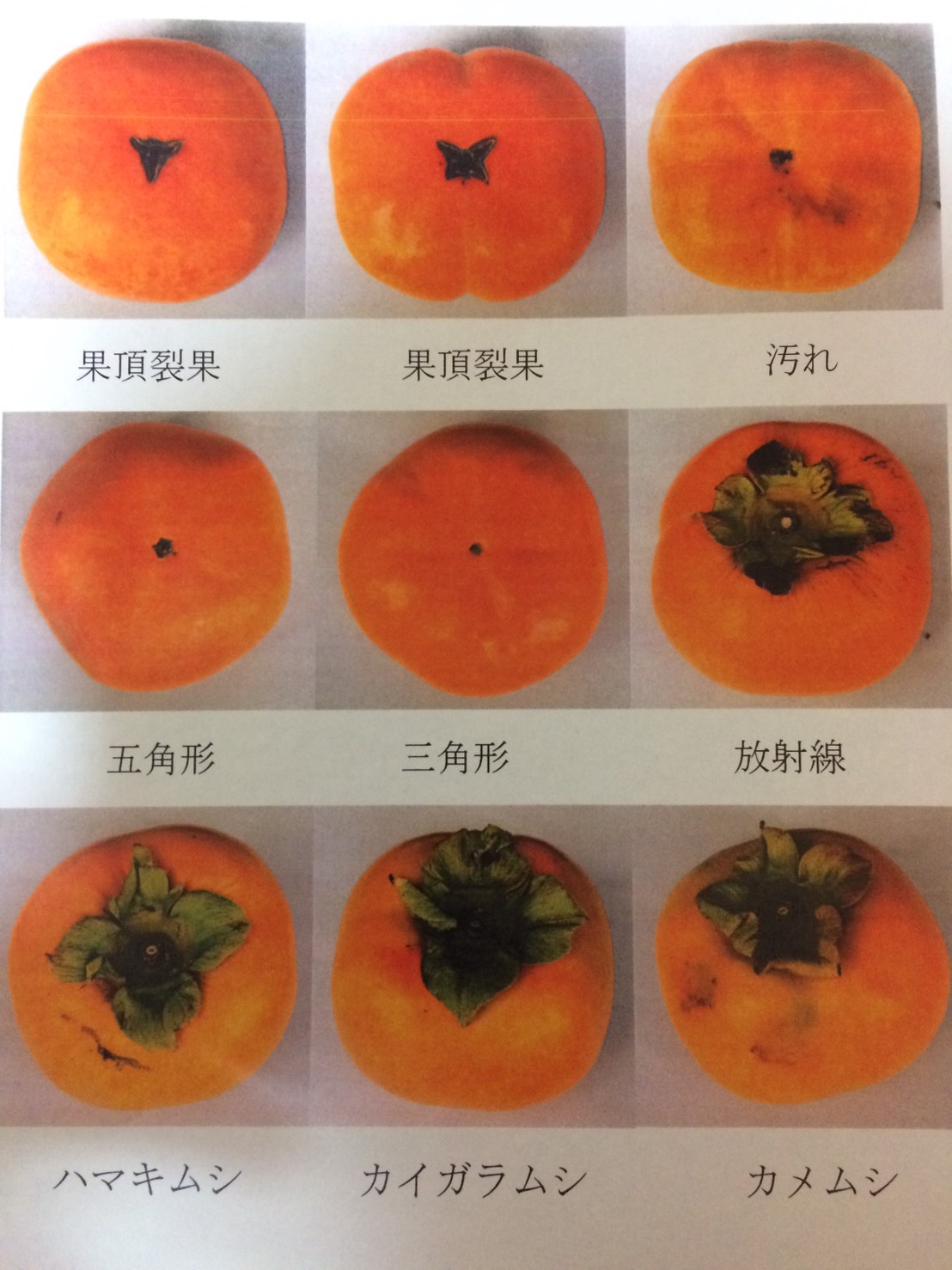 B級品について。