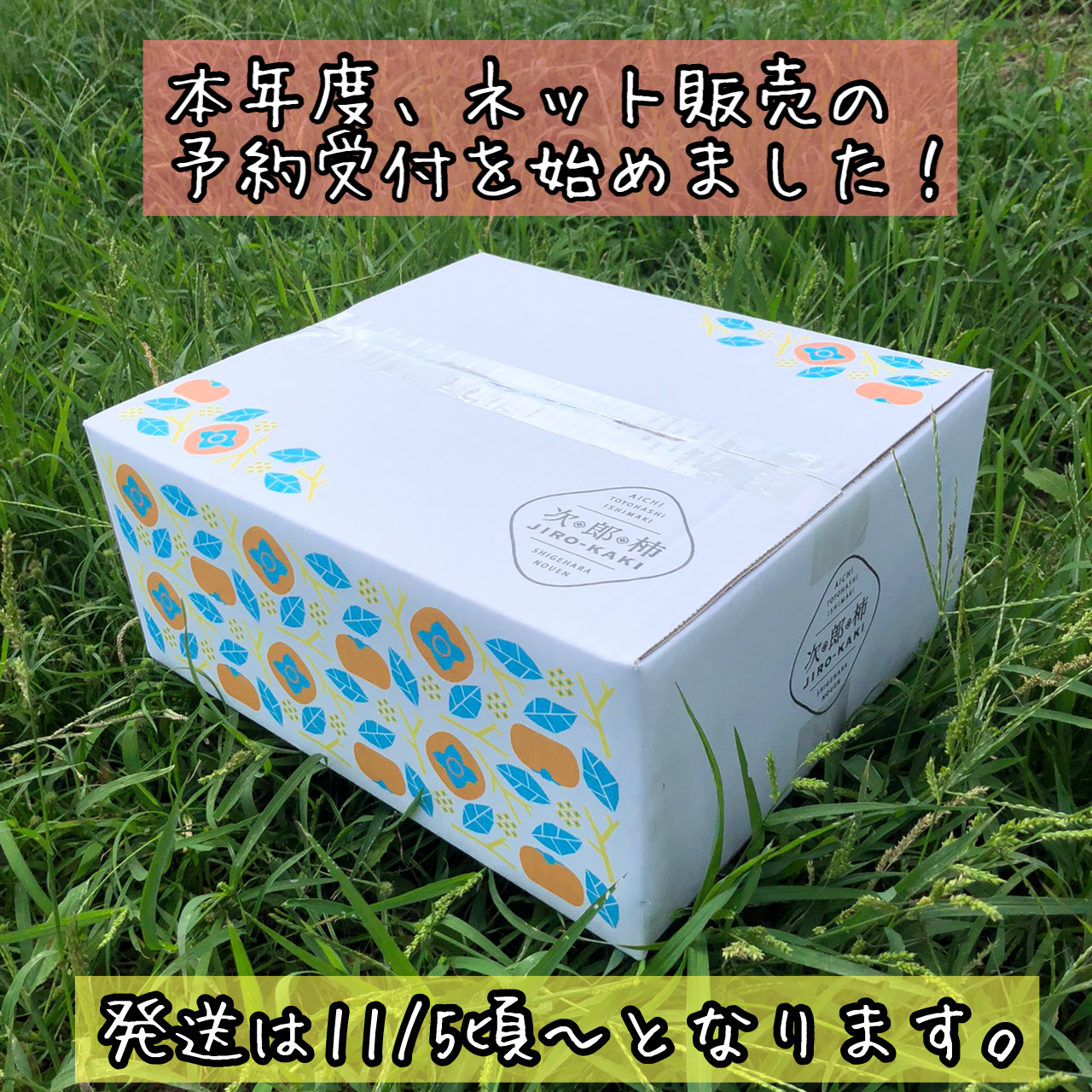 ネット販売開始！