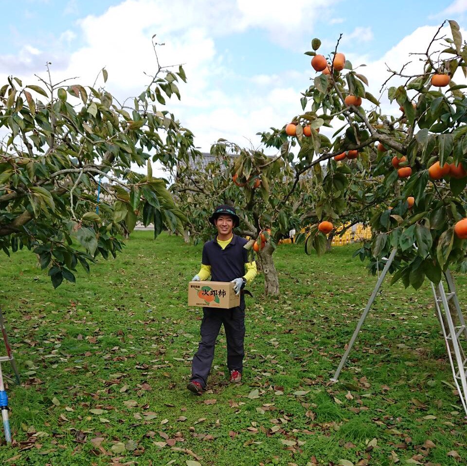 ネット販売受付終了。