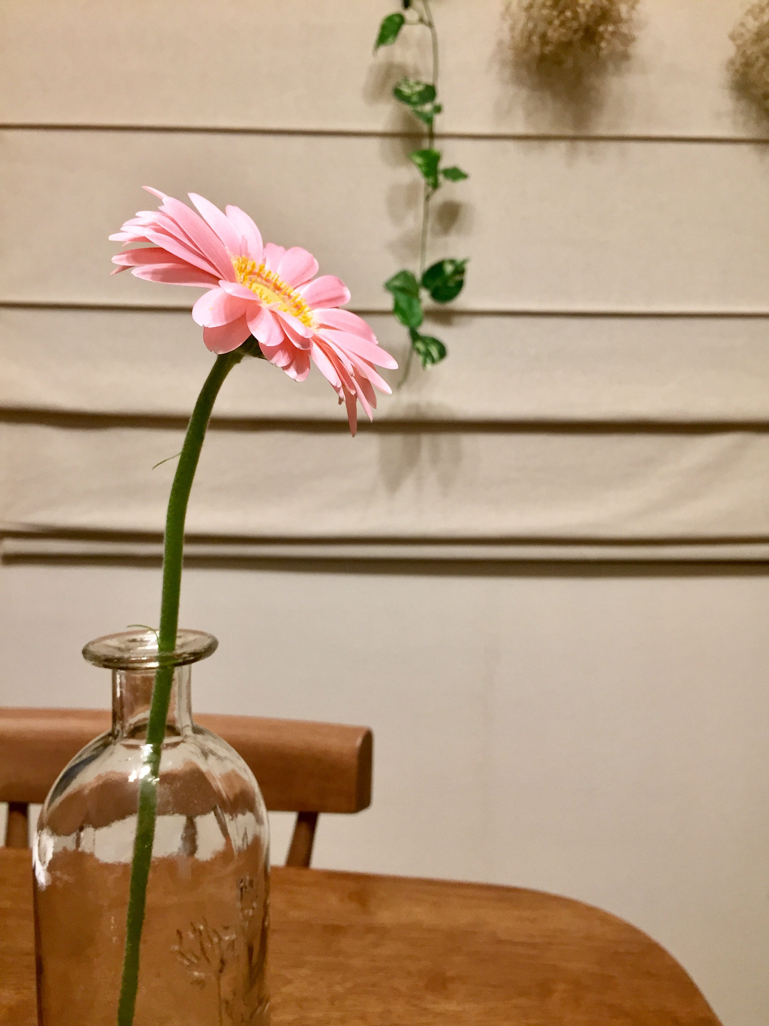 3000円以上お買い上げで送料無料にいたします♥️どうぞご覧下さい!