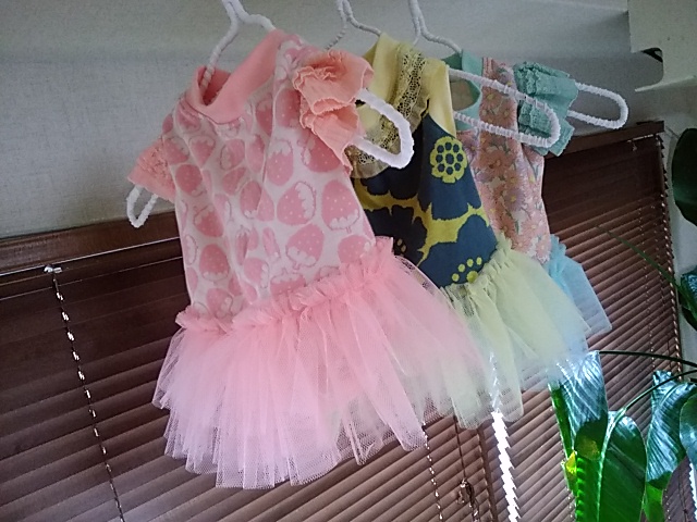 ☆～新作のご案内です～☆