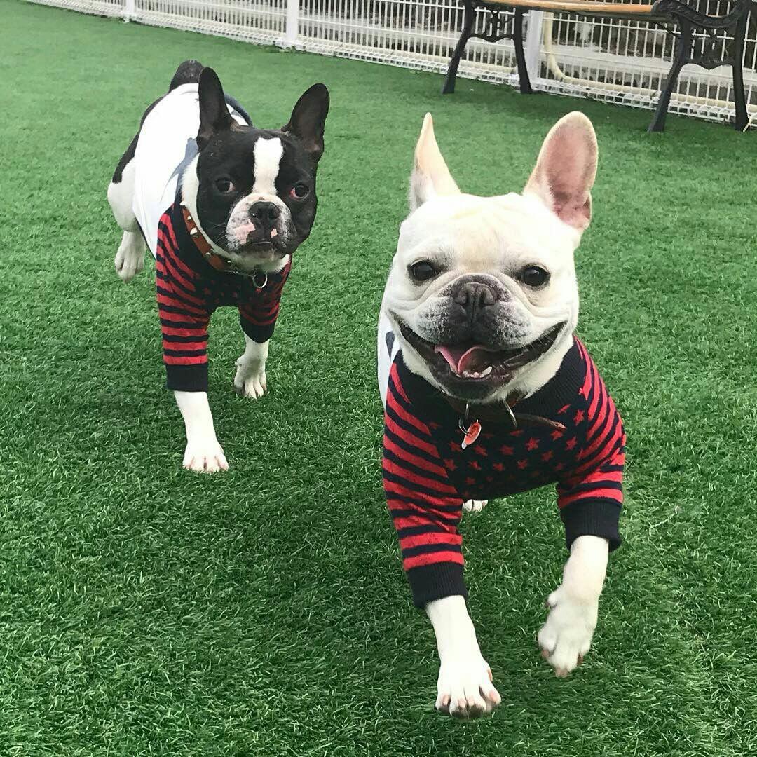 仲良しマル&ぎんちゃん(๑'ᴗ'๑)