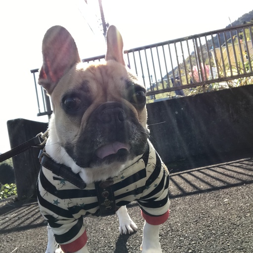 ハル君ファッションショー(^з^)-☆