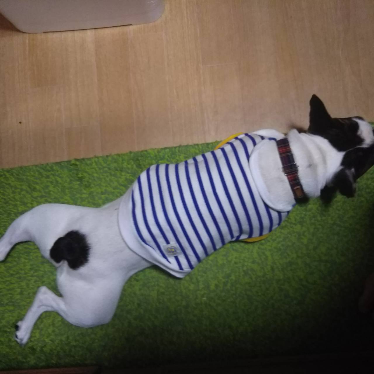 こちらも定番(￣∇￣)