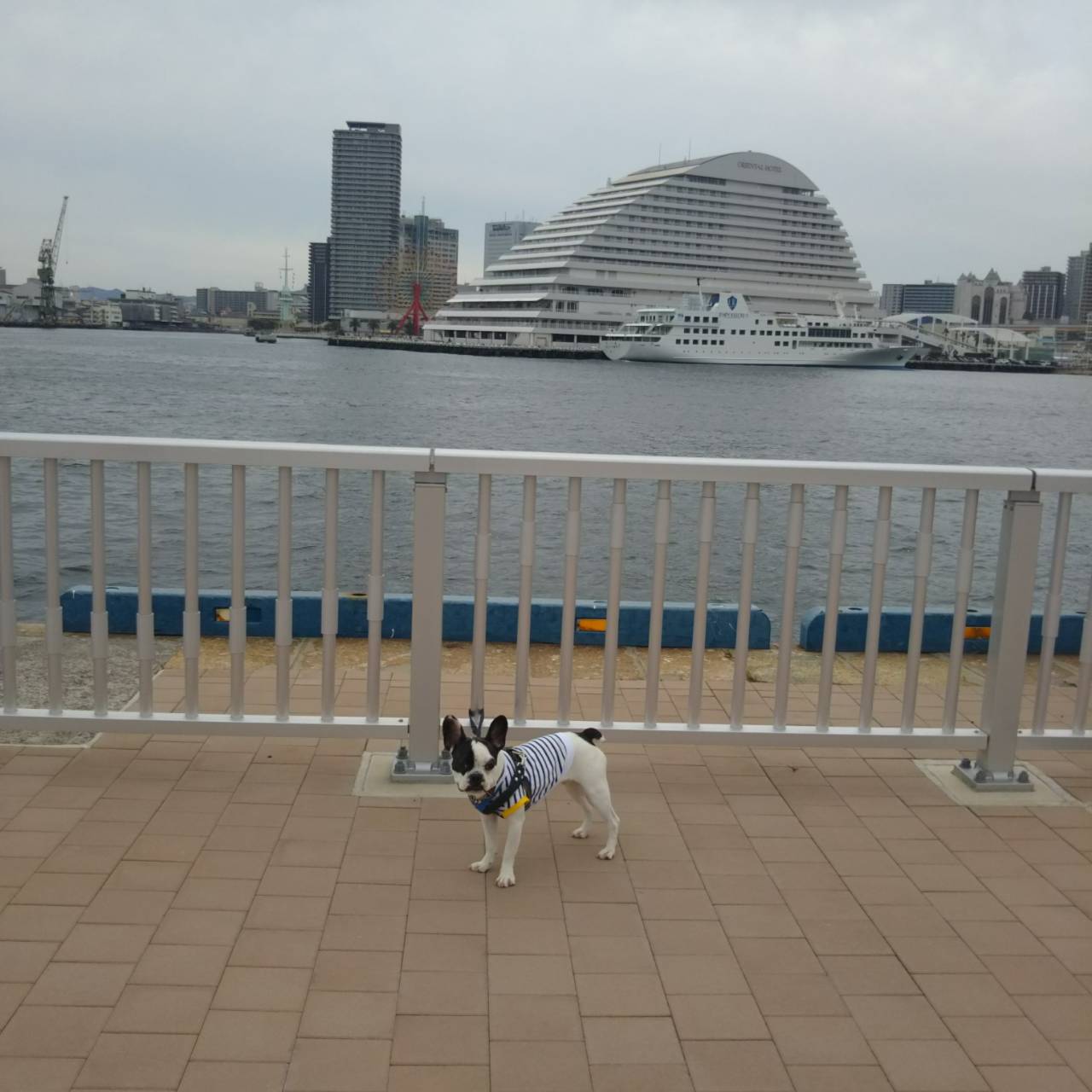 GWは神戸港でお散歩