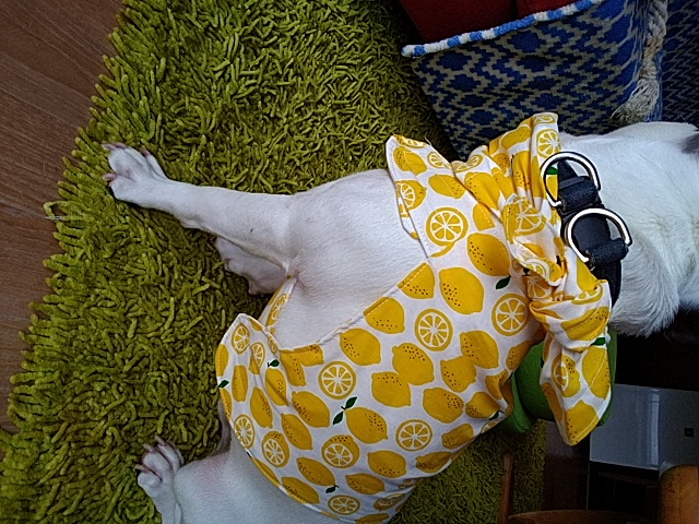 久々の新作出来ましたーーー(≧∇≦*)