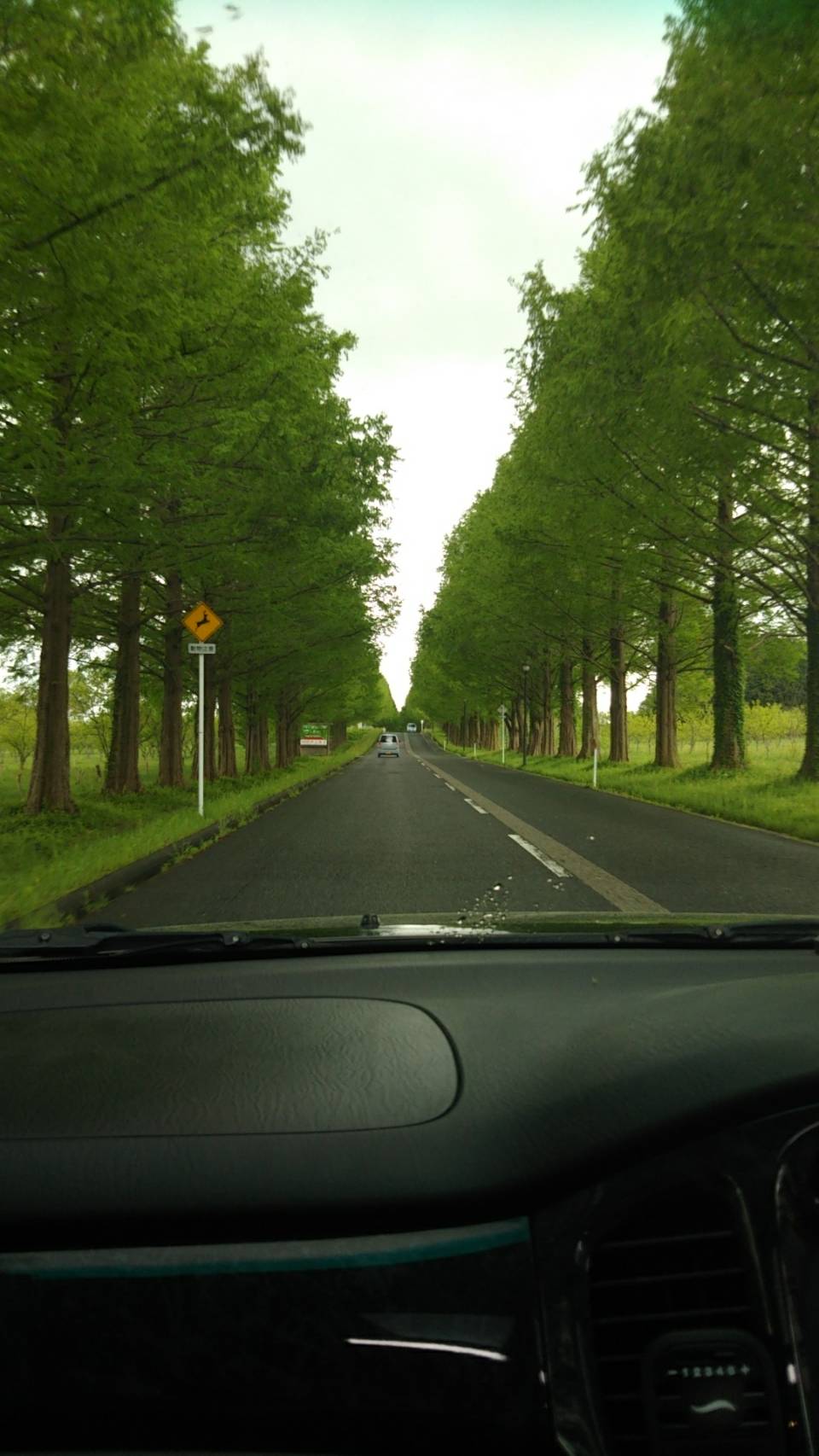 琵琶湖の帰り道　niceview