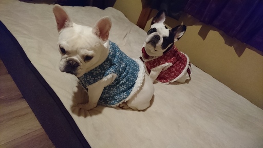 親子でオソロ～プティちゃんとキキちゃんです٩(๑❛ᴗ❛๑)۶