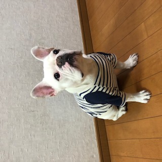 再販のお知らせです(^^)