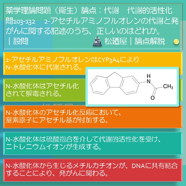 松廼屋｜論点解説　薬剤師国家試験対策ノート問103-132【衛生】論点：代謝 / 代謝的活性化