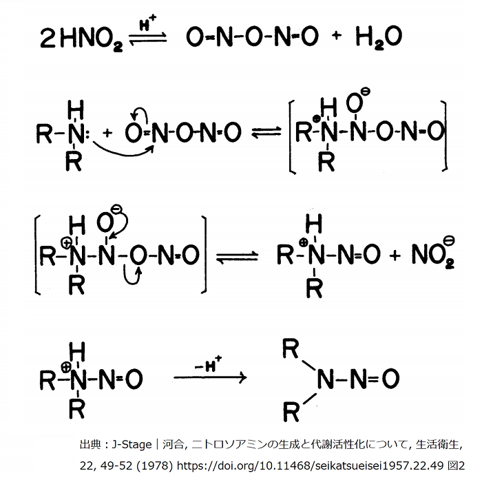 松廼屋｜論点解説　薬剤師国家試験対策ノート問101-123【衛生】論点：食品に由来する有害物質3