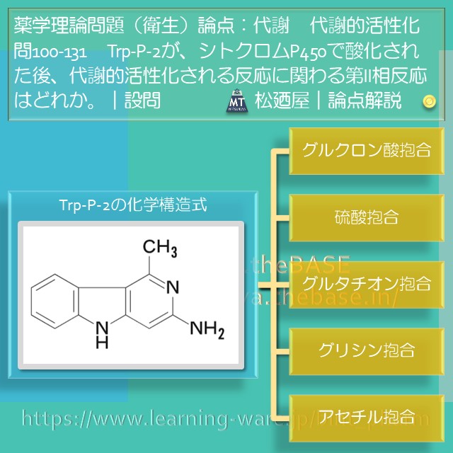 松廼屋｜論点解説　薬剤師国家試験対策ノート問100-131【衛生】論点：代謝 / 代謝的活性化