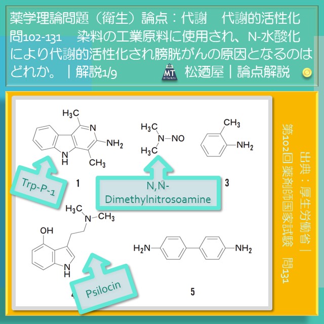 松廼屋｜論点解説　薬剤師国家試験対策ノート問102-131【衛生】論点：代謝 / 代謝的活性化2