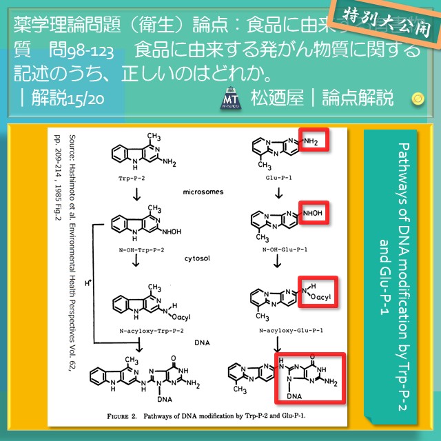 松廼屋｜論点解説　薬剤師国家試験対策ノート問98-123【衛生】論点：食品に由来する有害物質4