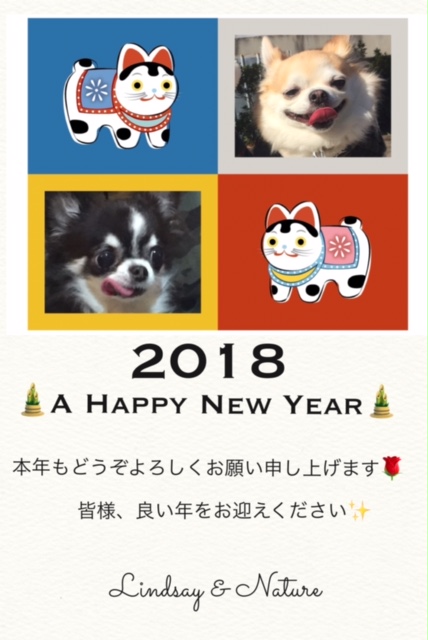 2018年　新年のご挨拶♪