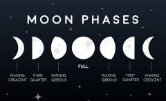 4/28 NEW MOON