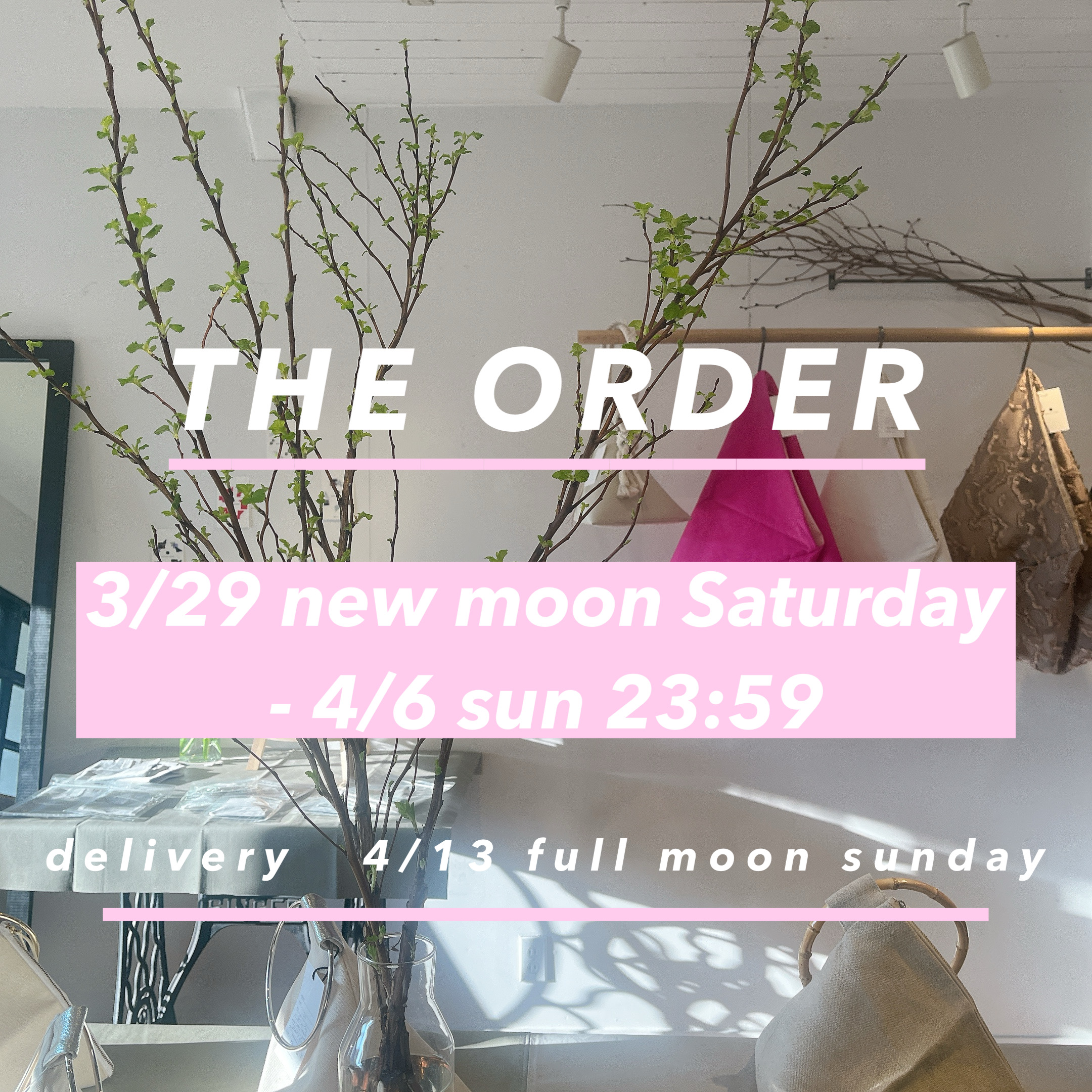 3/29  NEW  MOON !!!