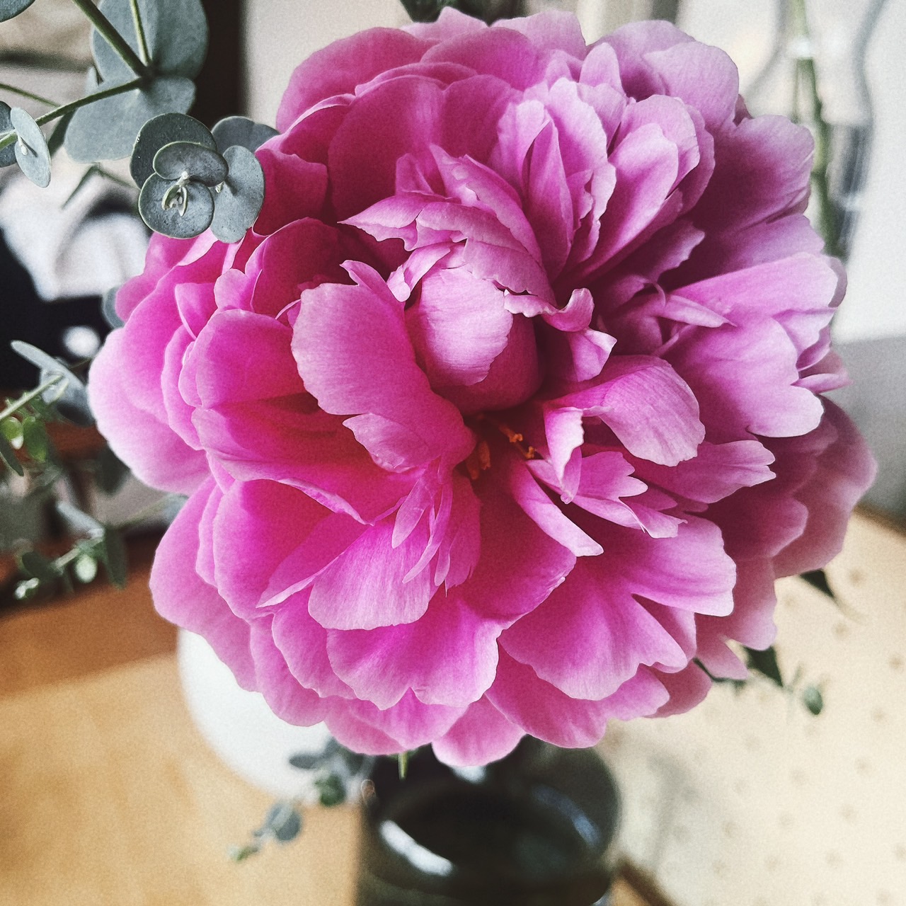 5/31
