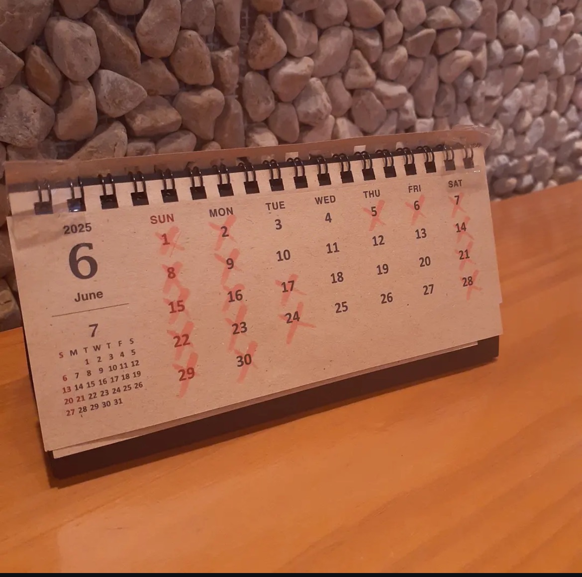 6月のお休み