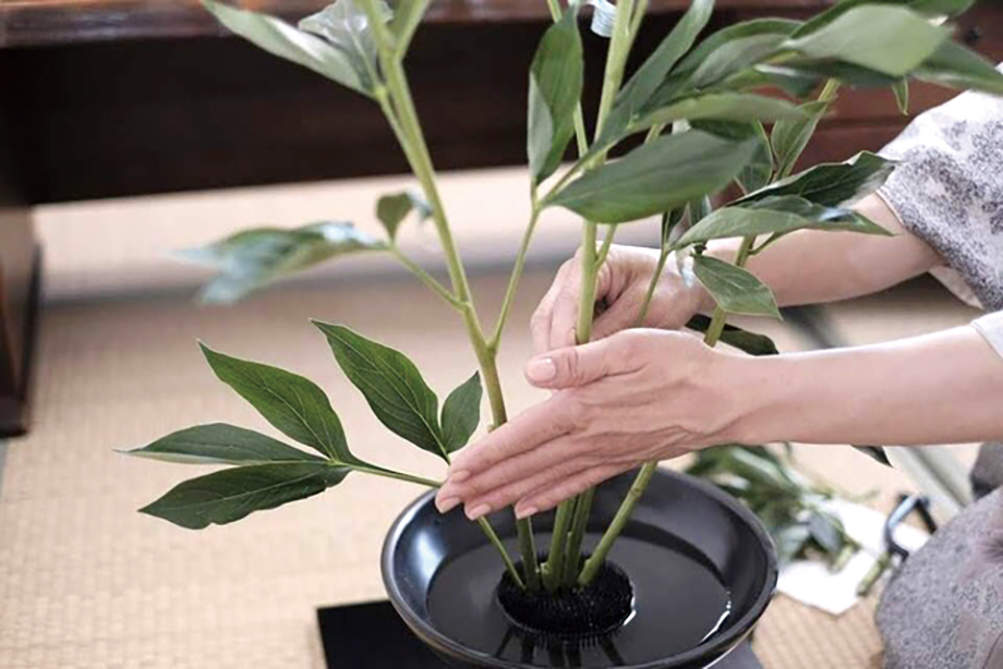 10/10 - 11/3 「花×漆 -新潟はなうるし」2026 のご案内
