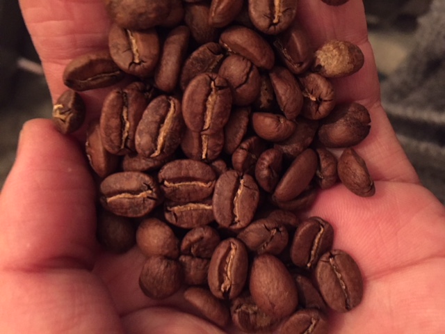 世界が驚嘆した【ゲイシャ】ゲイシャ種が発見されたエチオピア　ゲシャ村のコーヒー