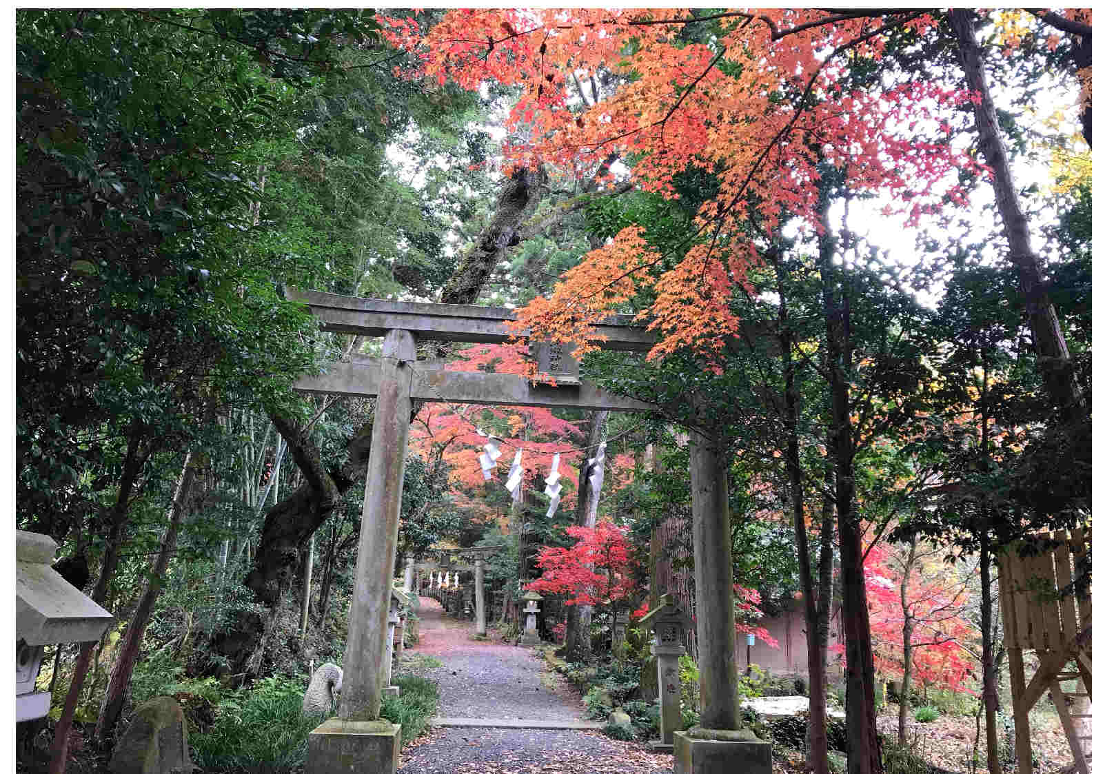 五所駒瀧神社の紅葉