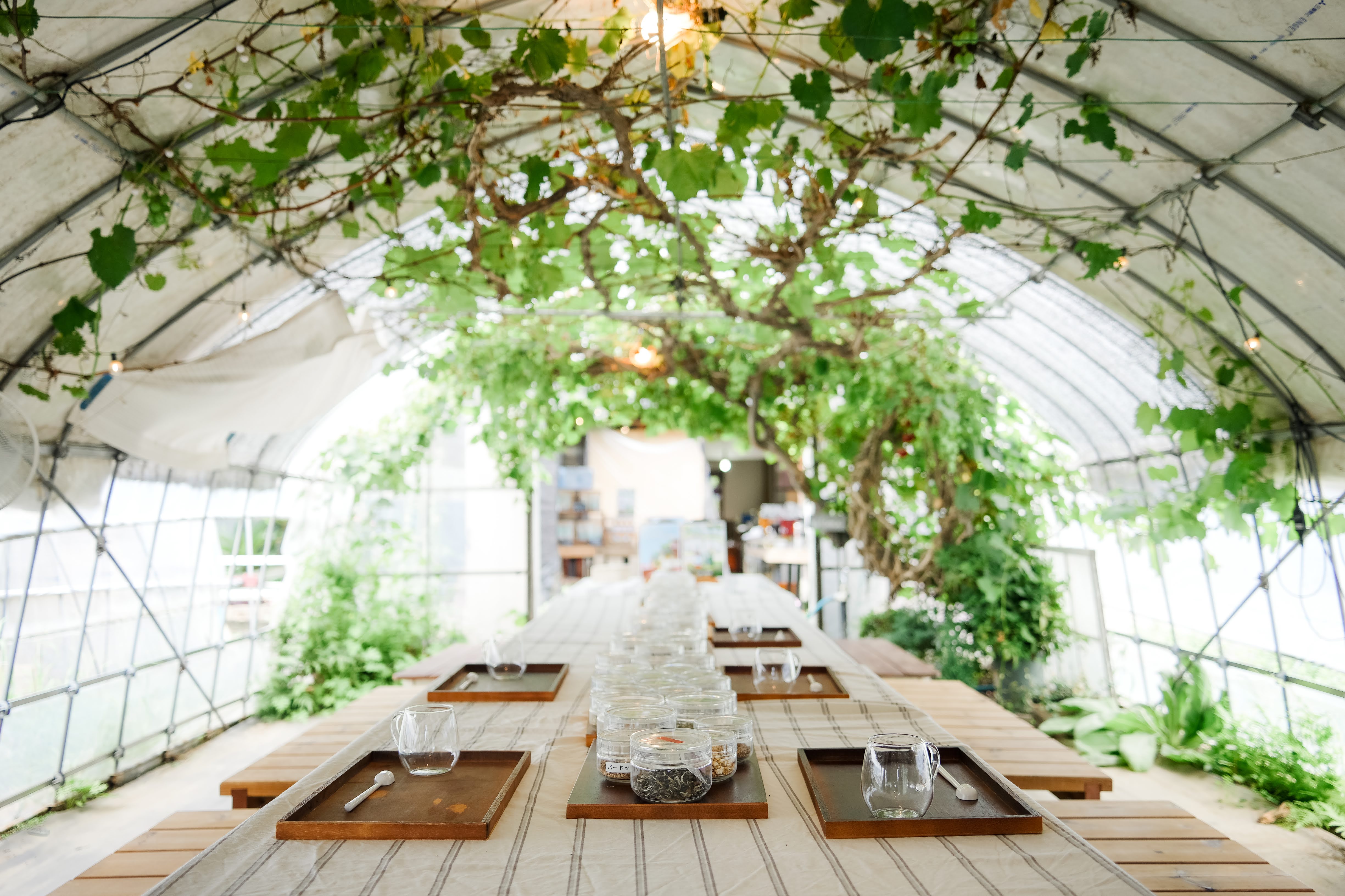 ヒロコハーブスの自己紹介