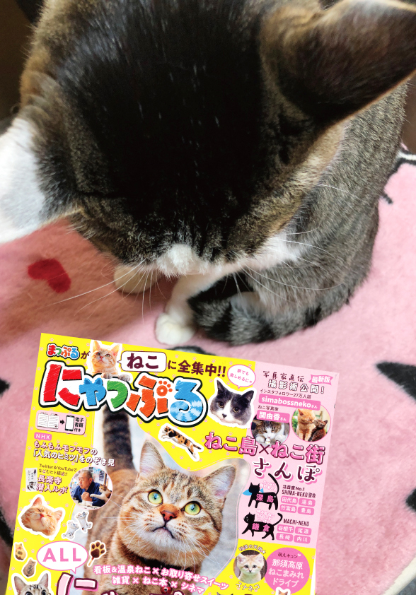 昭文社「にゃっぷる」に当店が掲載されました