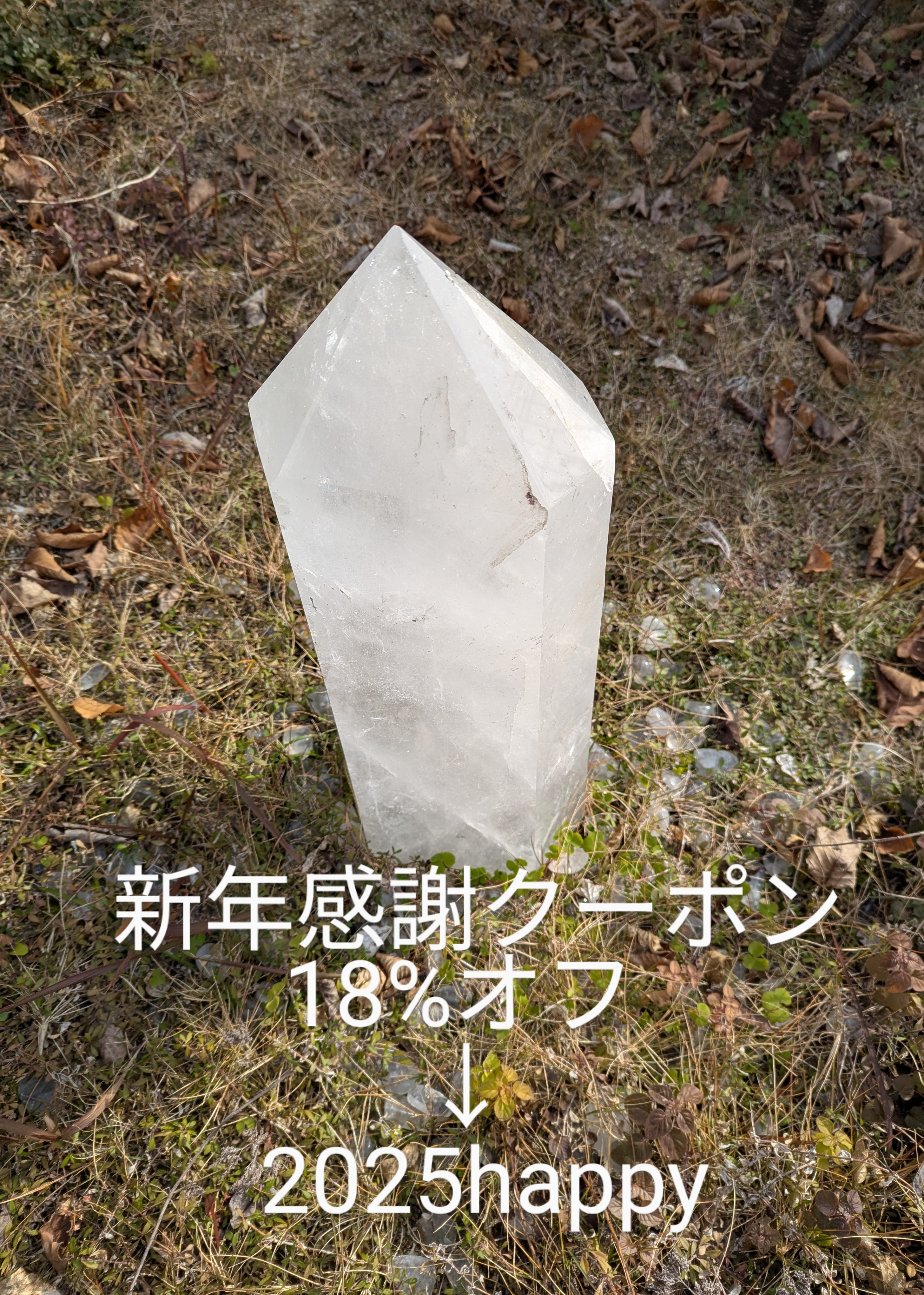 新年感謝クーポン 18%オフのお知らせです🎍✨