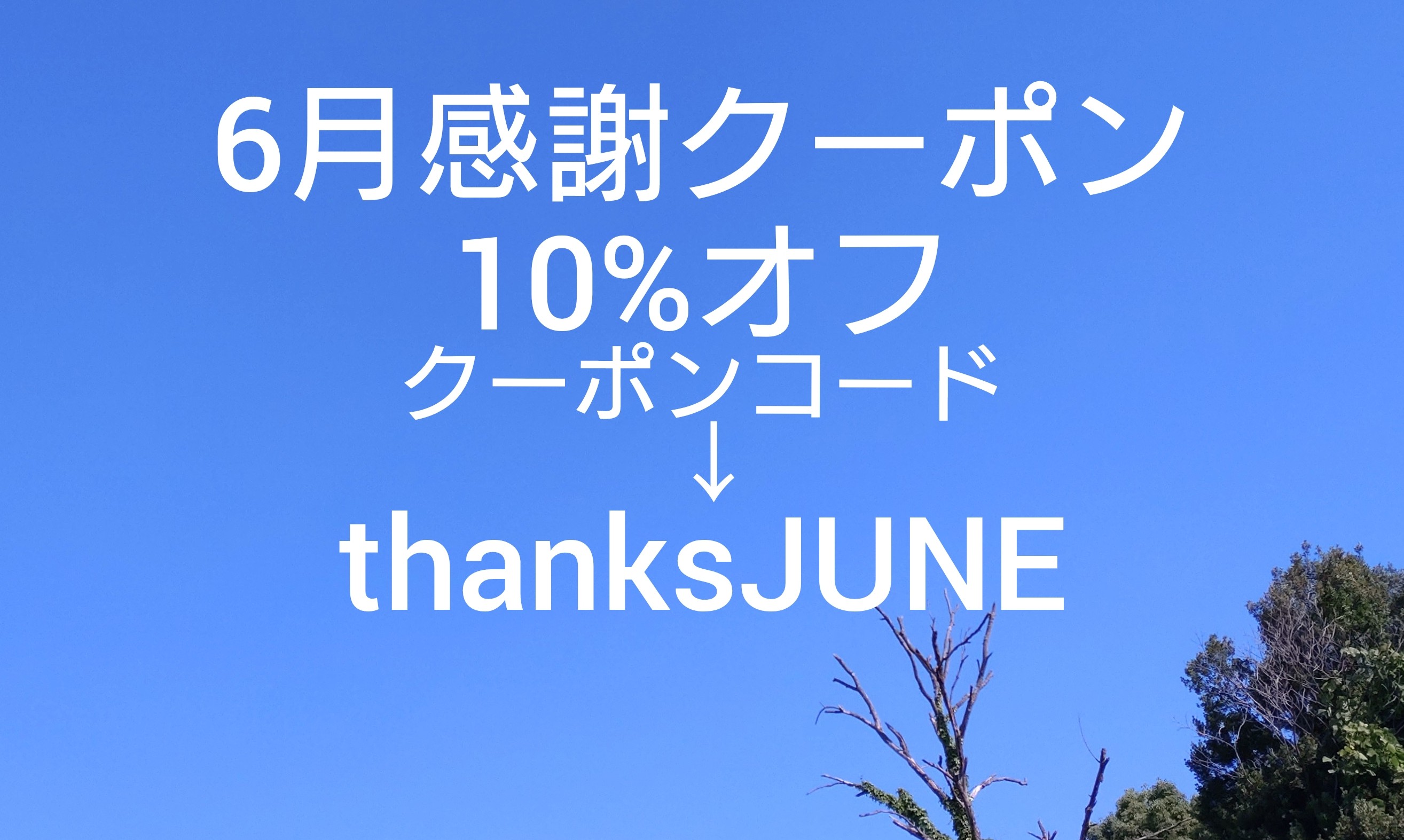 ✡6月感謝クーポン　10％オフのお知らせ✡