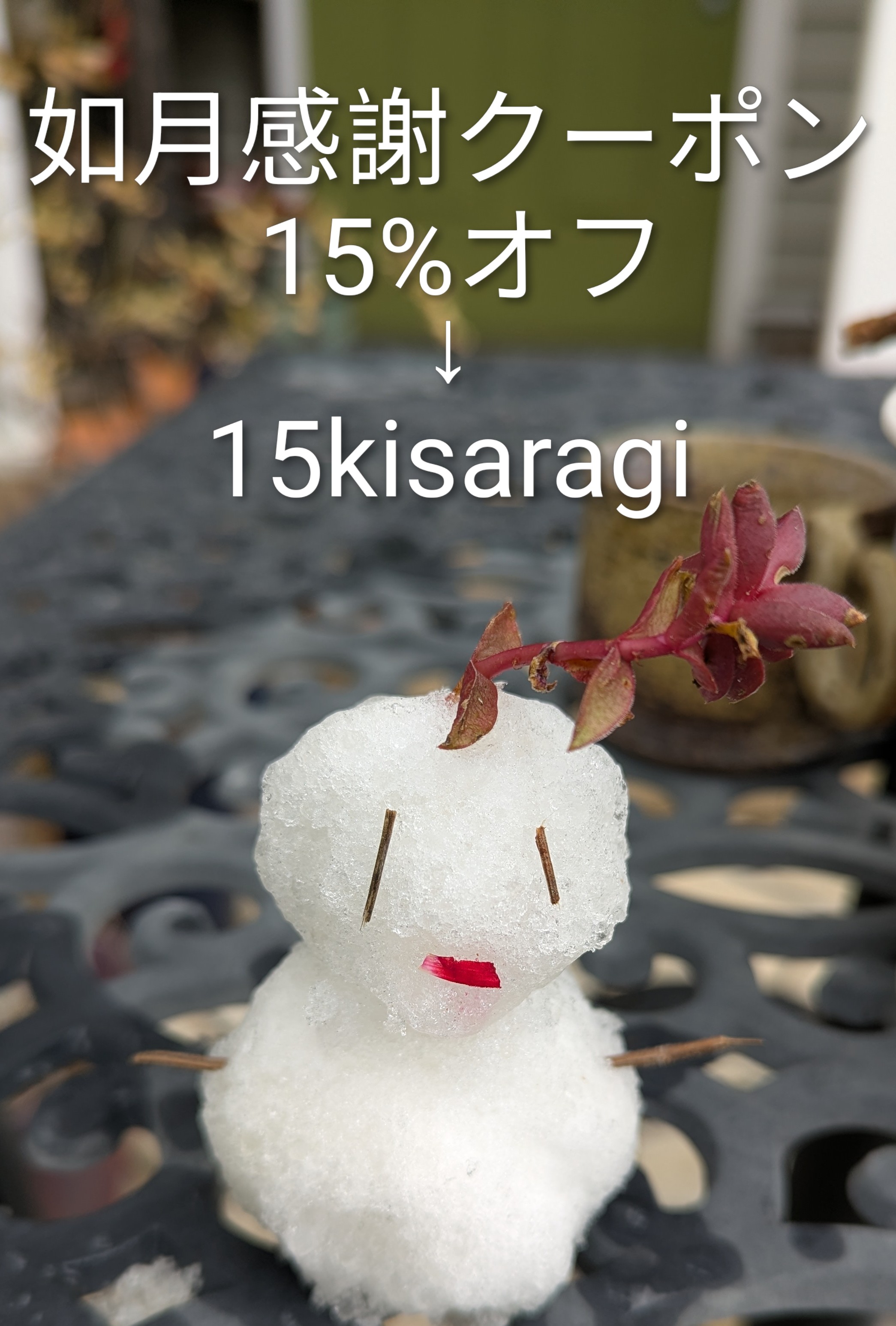 如月感謝クーポン 15%オフのお知らせです❄