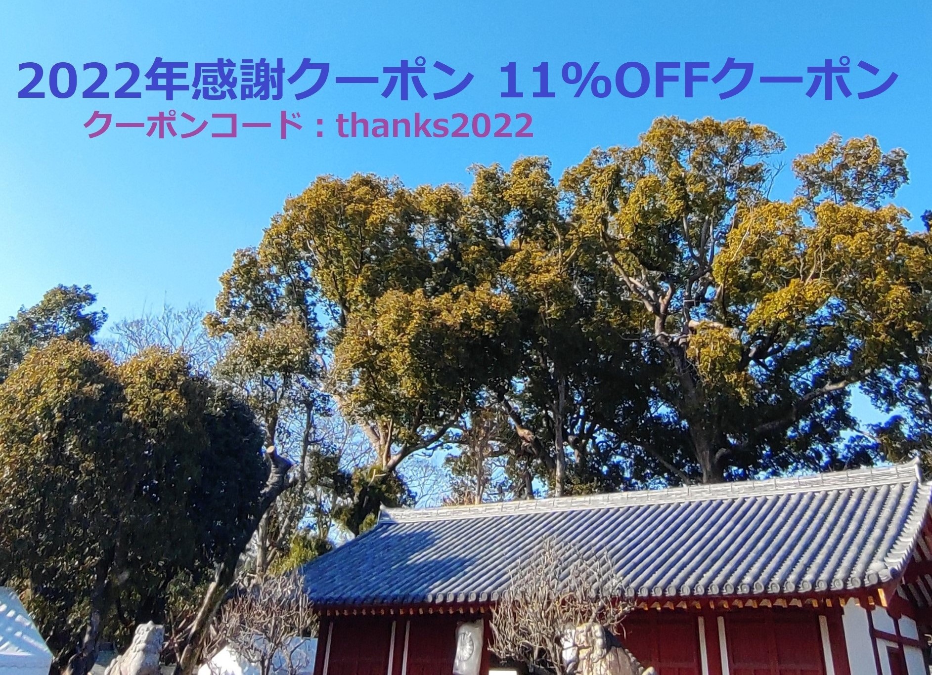 🔯2022年感謝クーポン11％OFFクーポンのお知らせです🔯