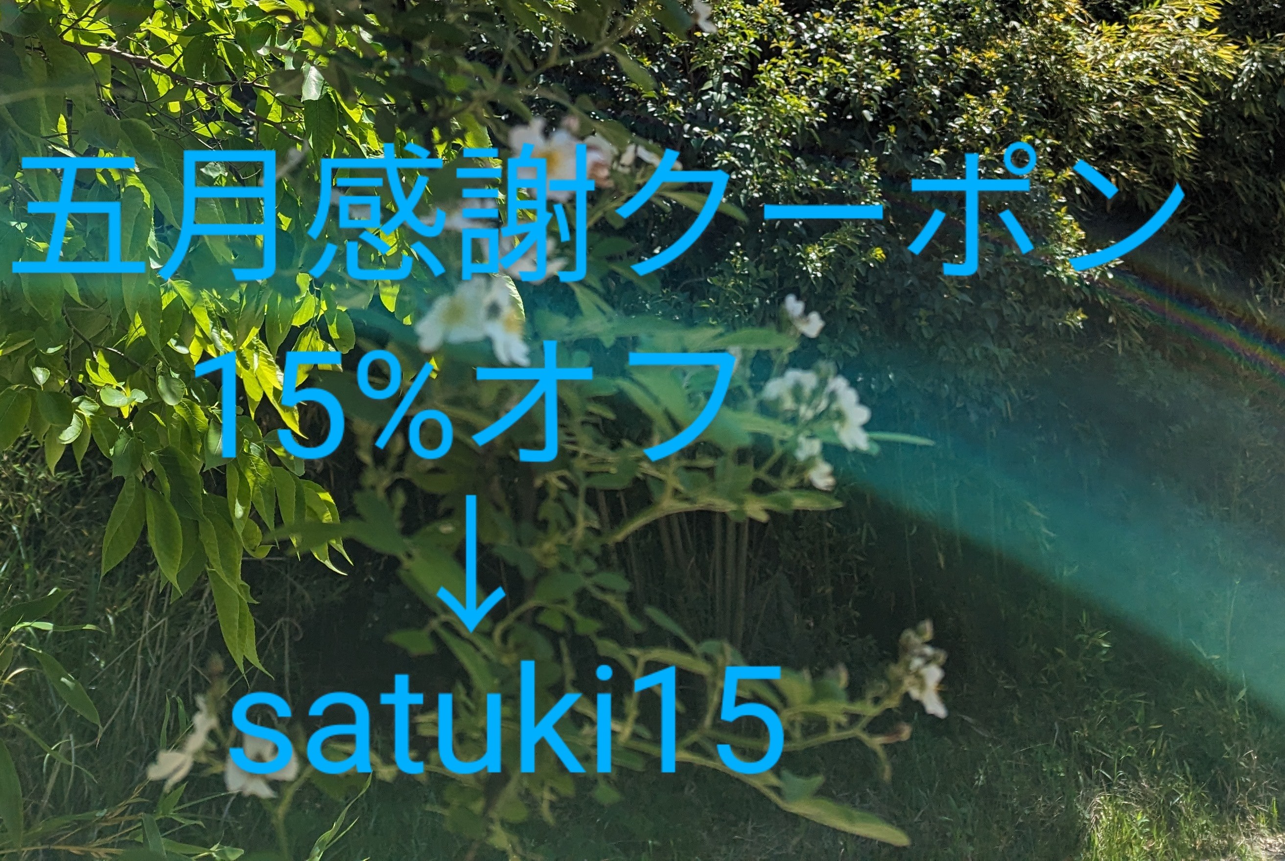 五月感謝クーポン 15%オフのお知らせです🌿