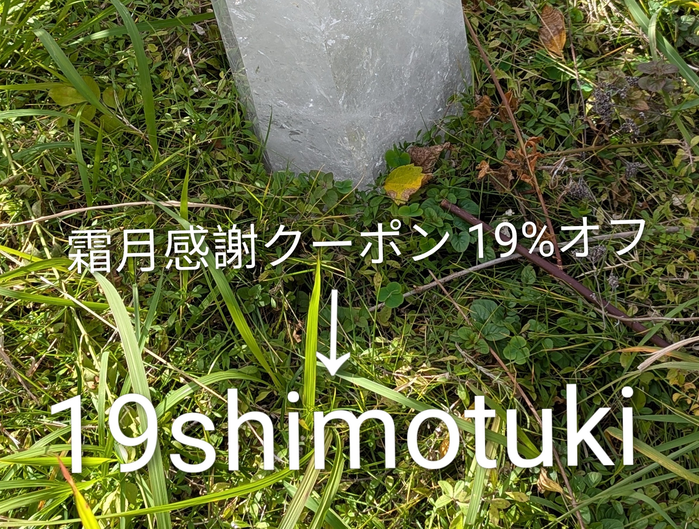 霜月感謝クーポンのお知らせです✨