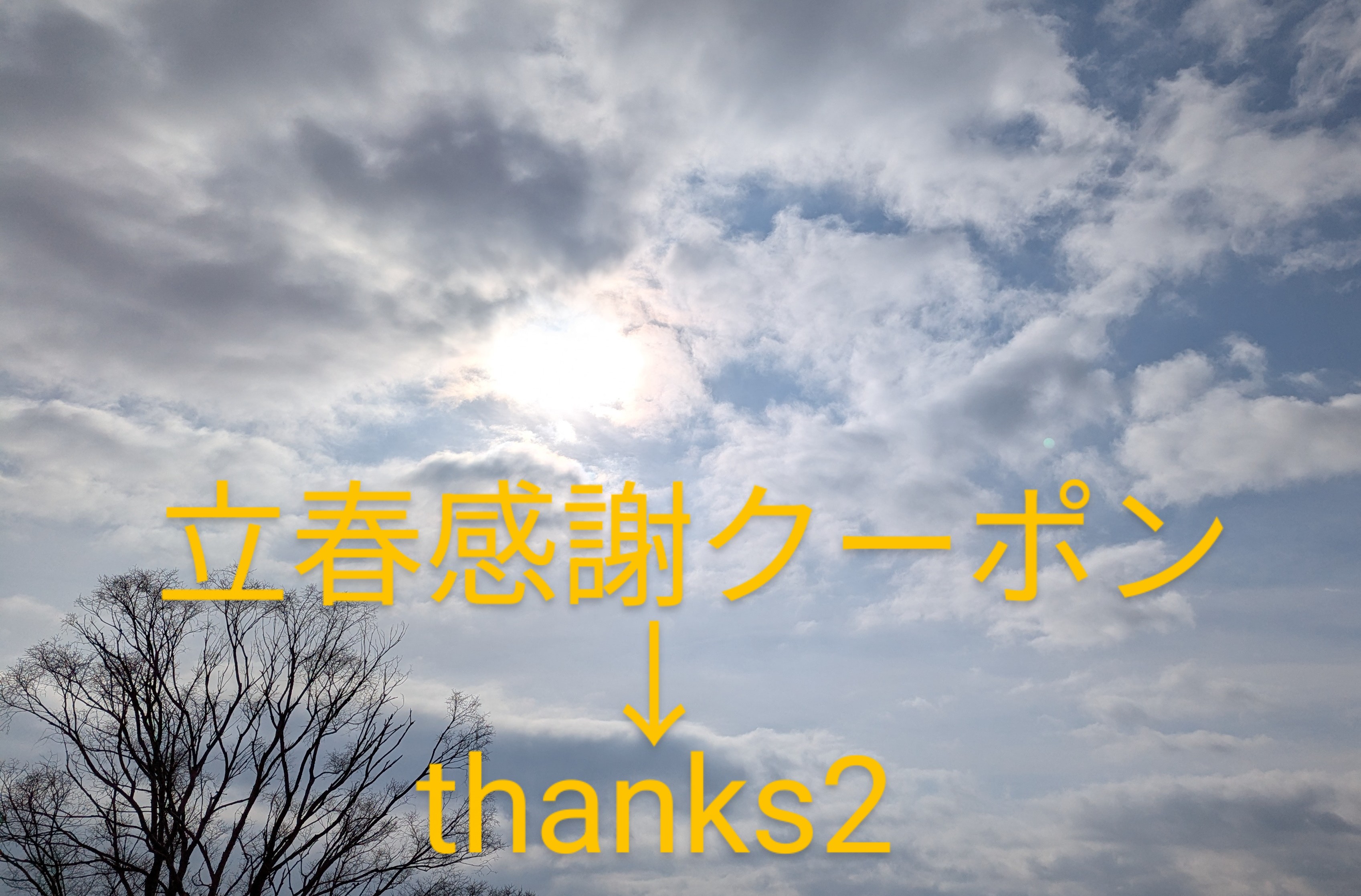 立春感謝クーポン 15%オフのお知らせです❄