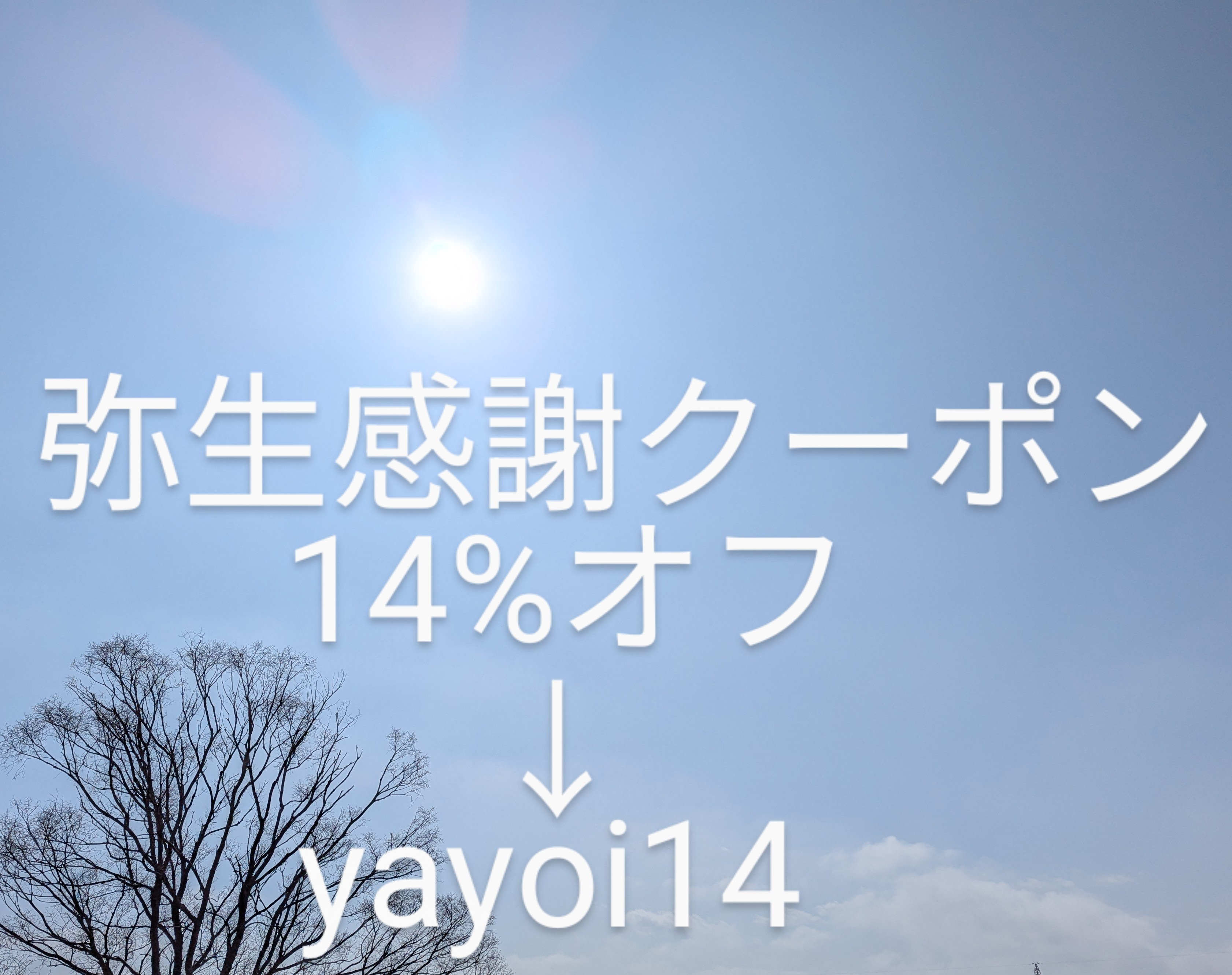 弥生感謝クーポン 14%オフのお知らせです🌸