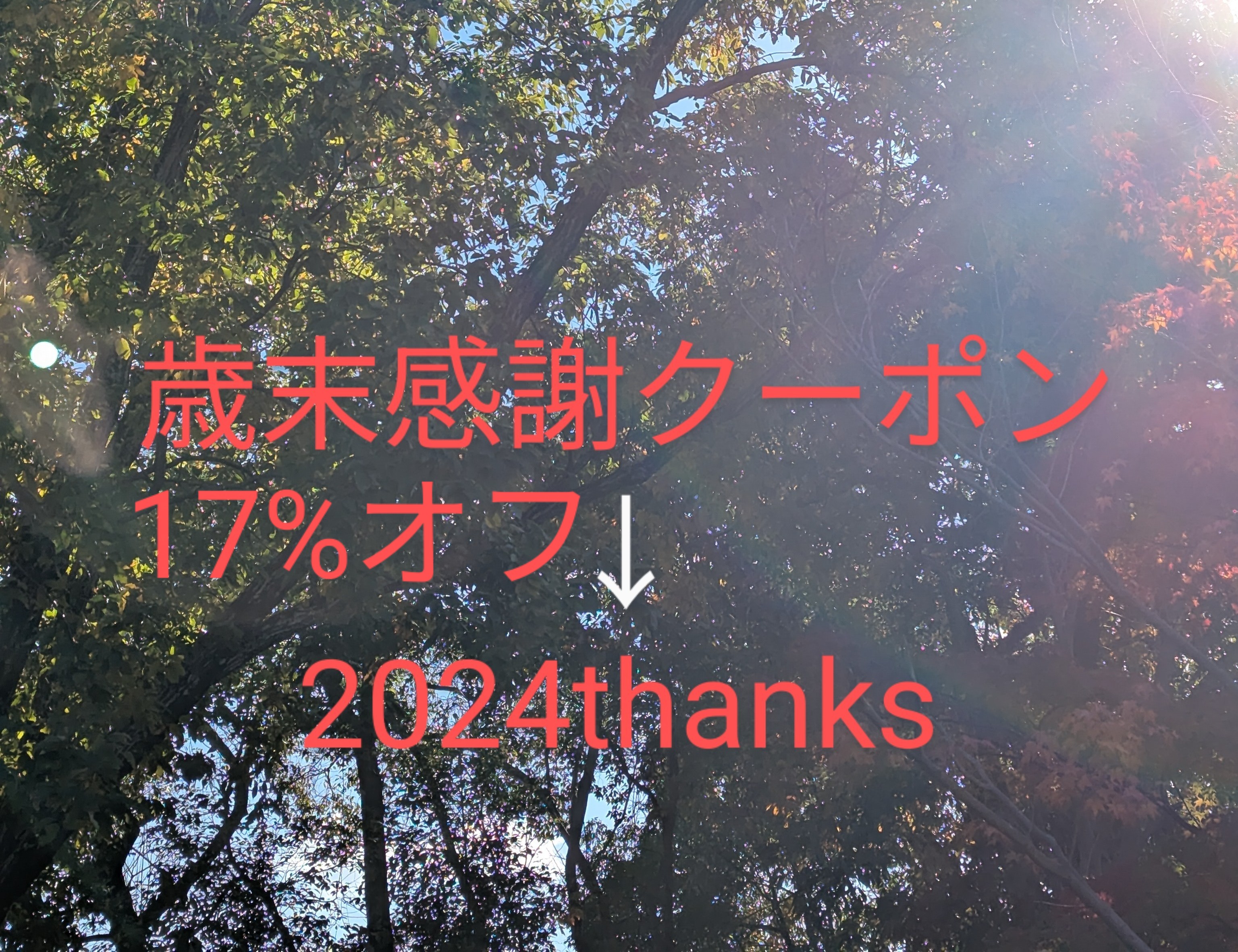 歳末感謝クーポン 17%オフのお知らせです❄