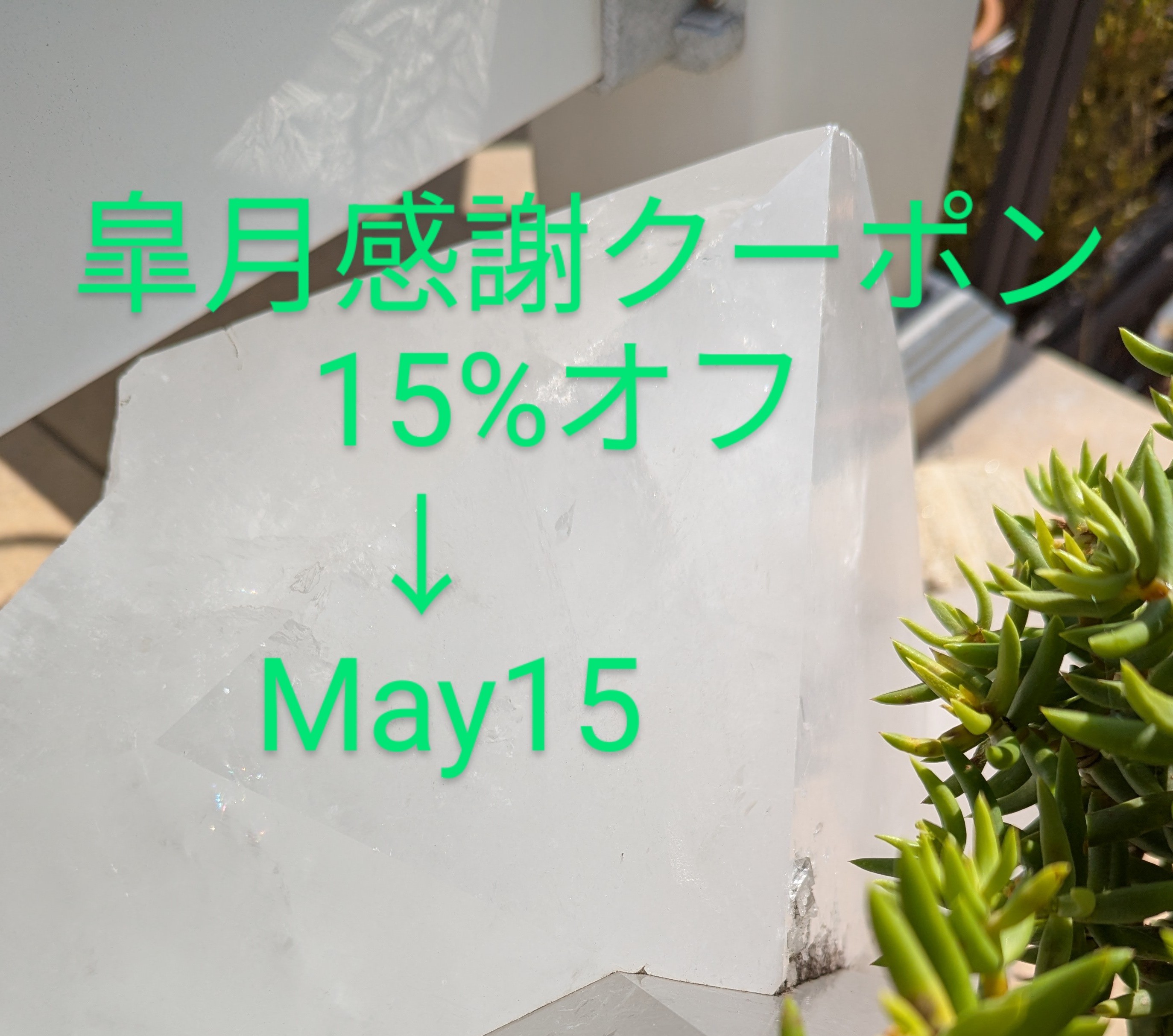 皐月感謝クーポン 15%オフのお知らせです🌿
