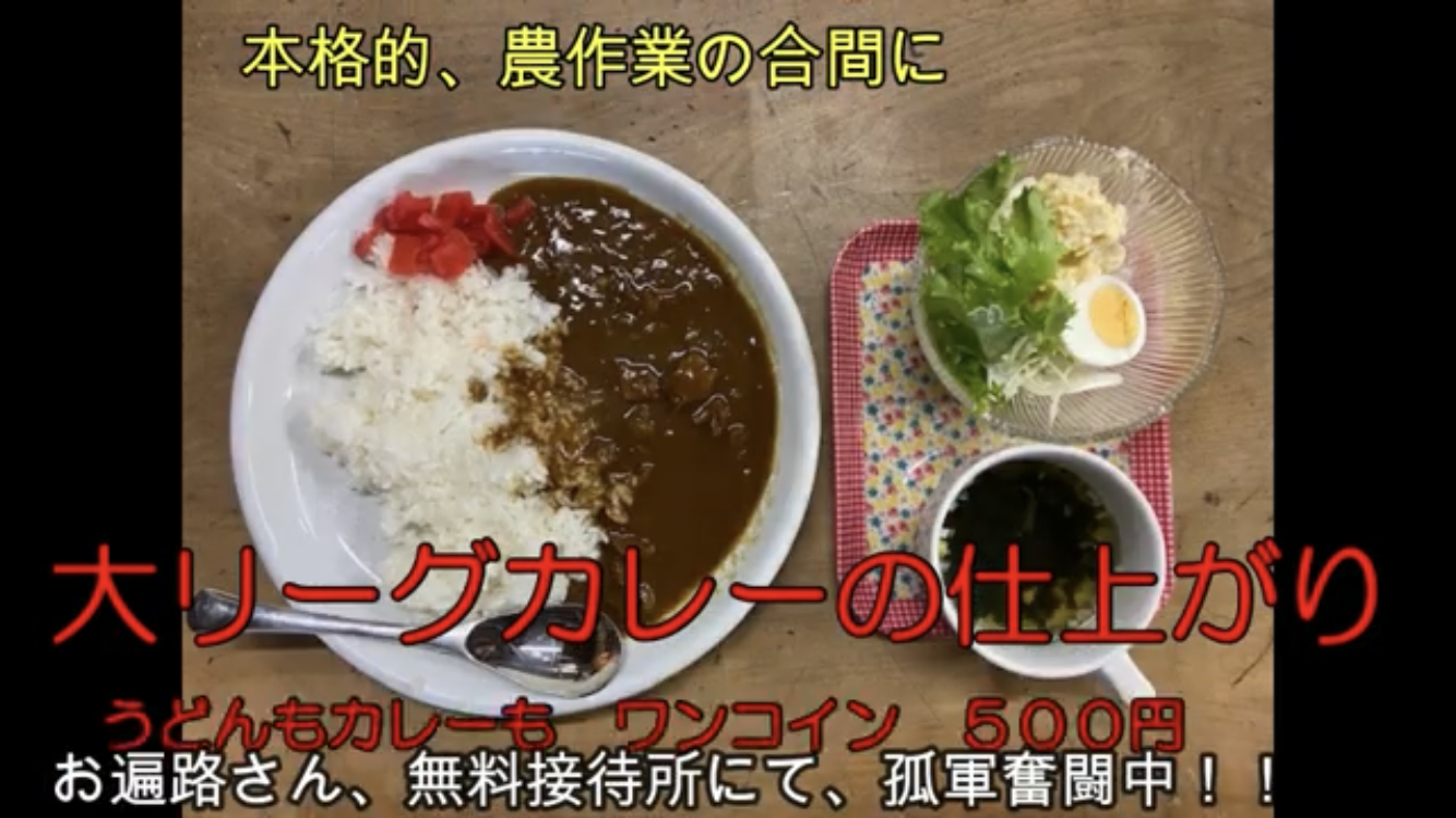 大リーグカレー