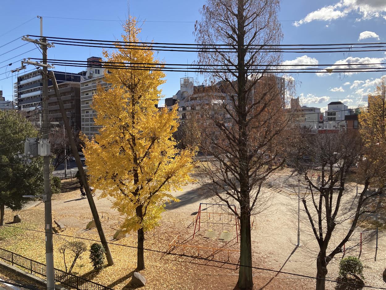 黄色公園