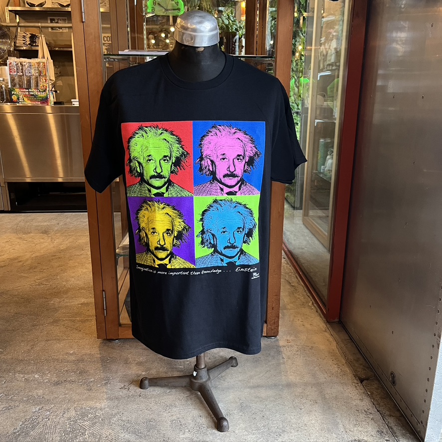 ATLAS SCREEN PRINTING : Imagine Einstein Adult T