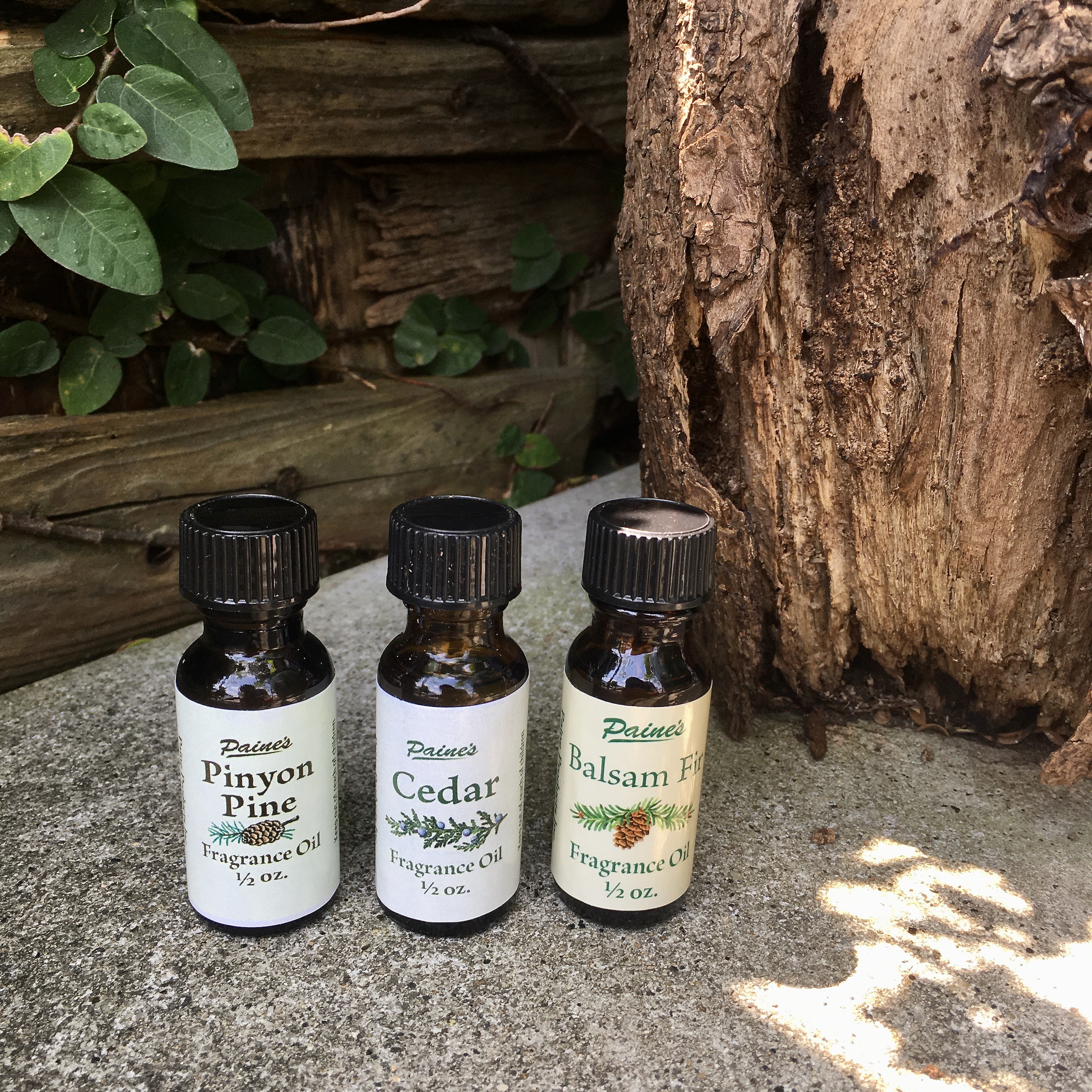 PAINES PRODUCTS : FRAGRANCE OIL