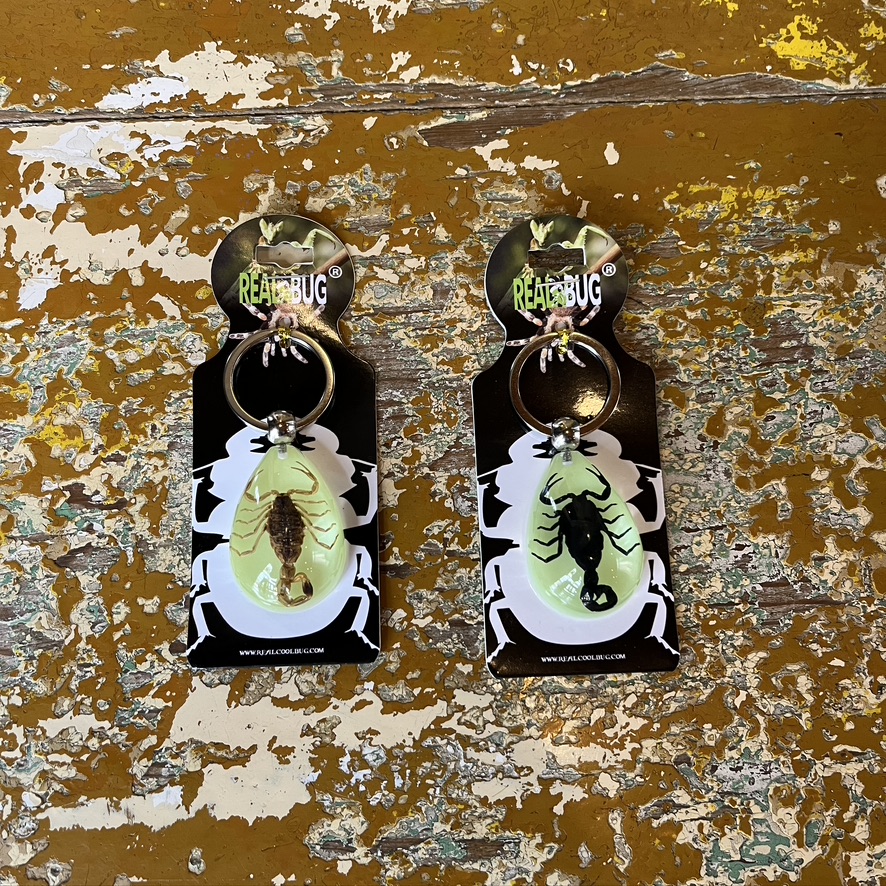 REAL BUG : SCORPION TEAR DROP KEY CHAIN