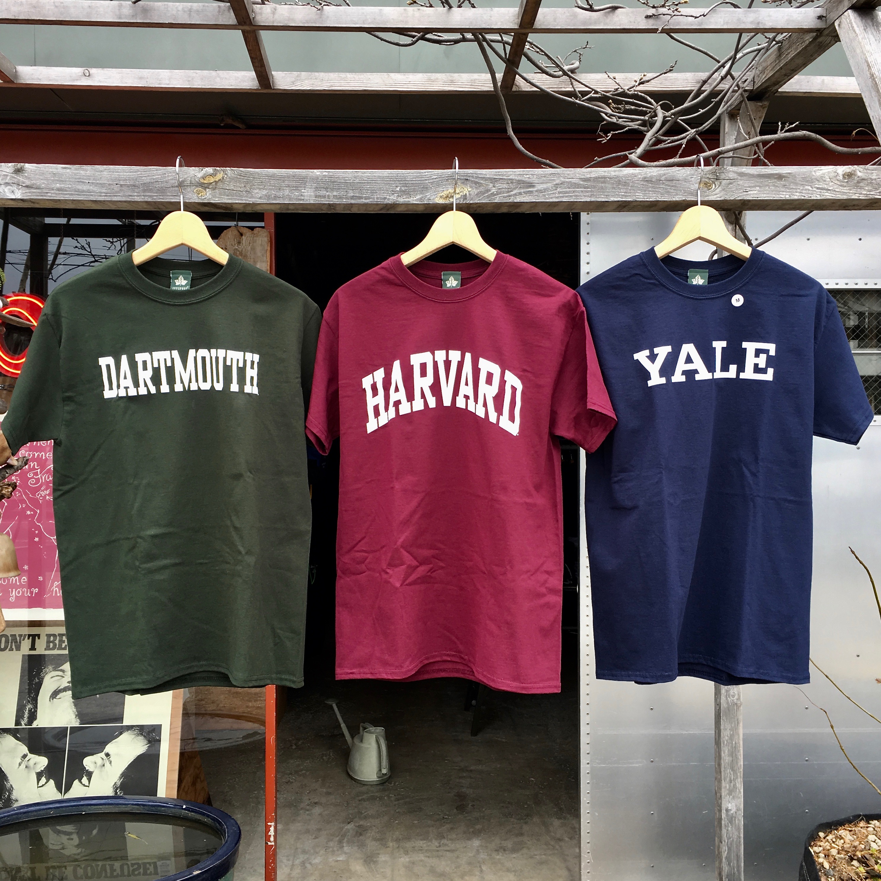 THE IVY SPORT:   T-SHIRTS