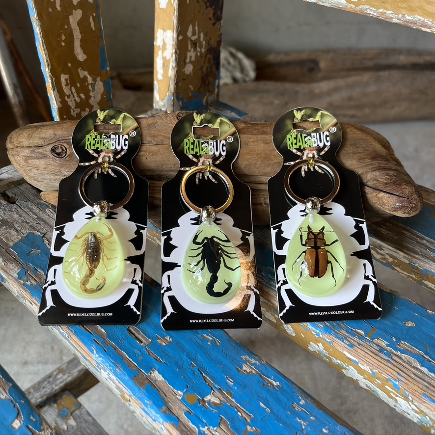 REAL BUG : TEAR DROP KEY CHAIN